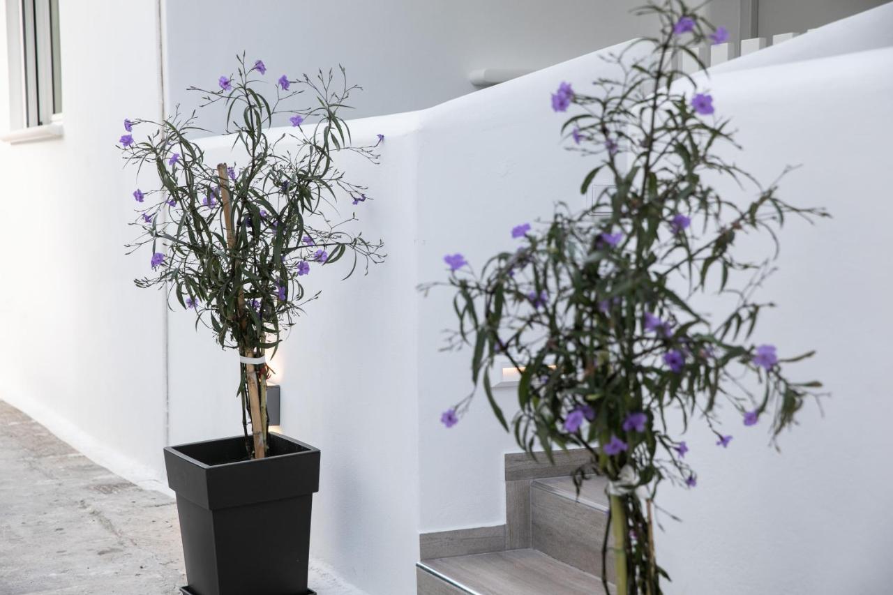 Anemela Studio Lux Naxos City 외부 사진